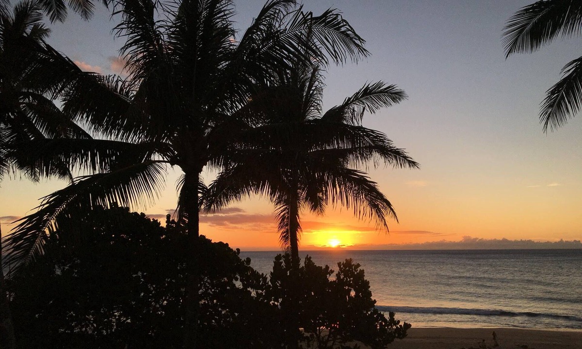 Kahuku Condo | 1BR/1BA/2 Parking Condo: Fully Renovated at Ritz Carton Turtle Bay