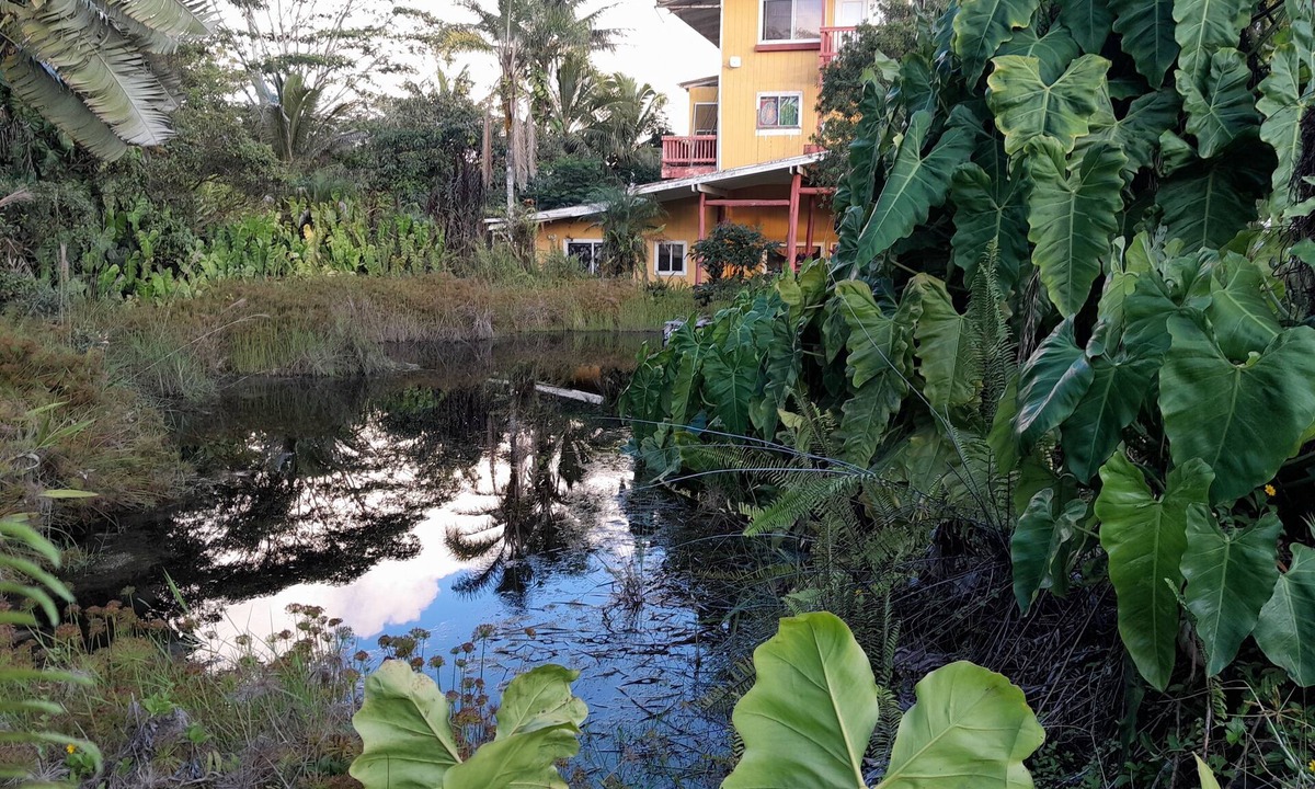 Pahoa House | 3 Rooms in Estate House with private access to volcanic steam sauna caves!