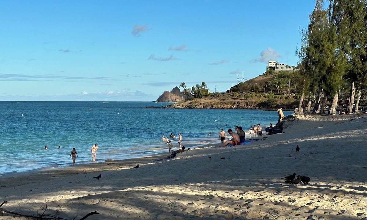 Kailua House | BAREFOOT-BEACH-RETREAT, 2BR, NEWLY FURN. WALK-2-BEACH/BUZZ'S=2 MIN, KAʻOHAO SCH.