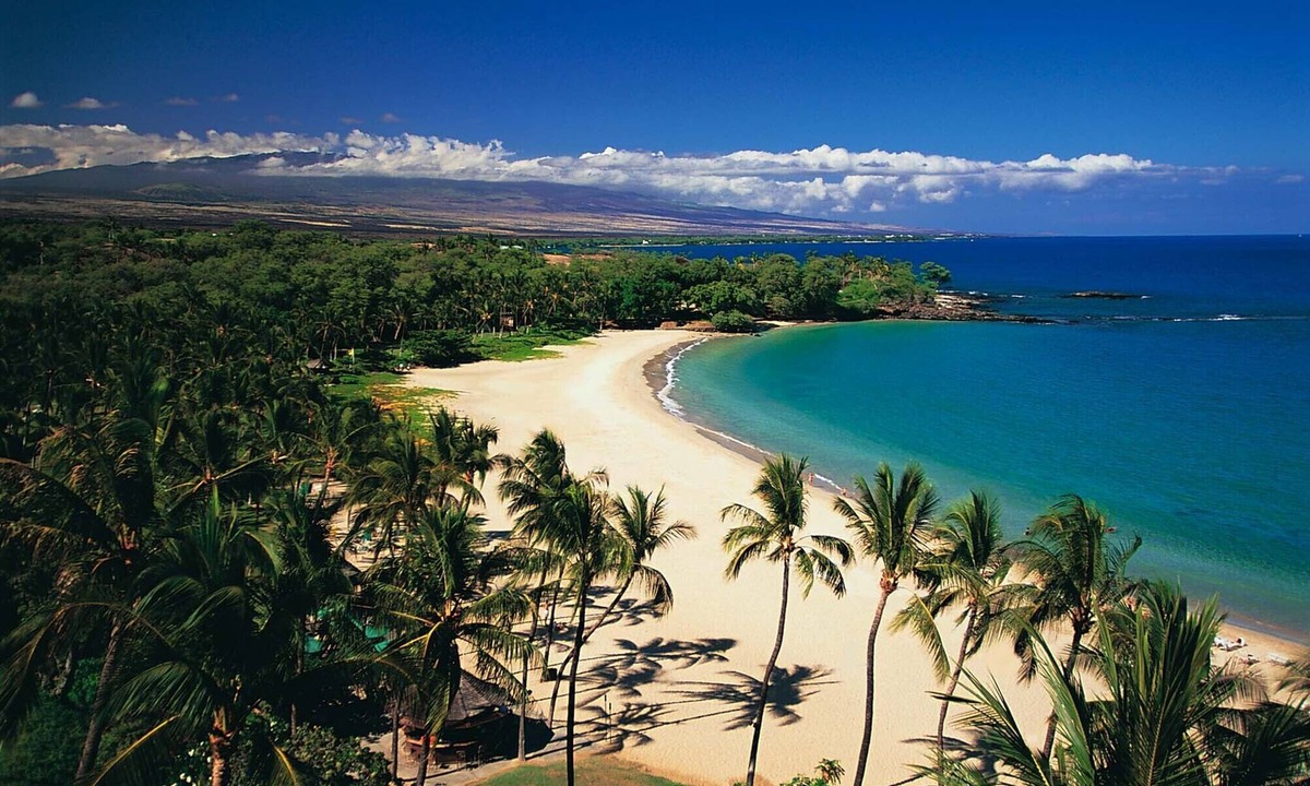 Kamuela House | BEST PLACE TO STAY! Close to Kamuela Town and World Class Beaches!