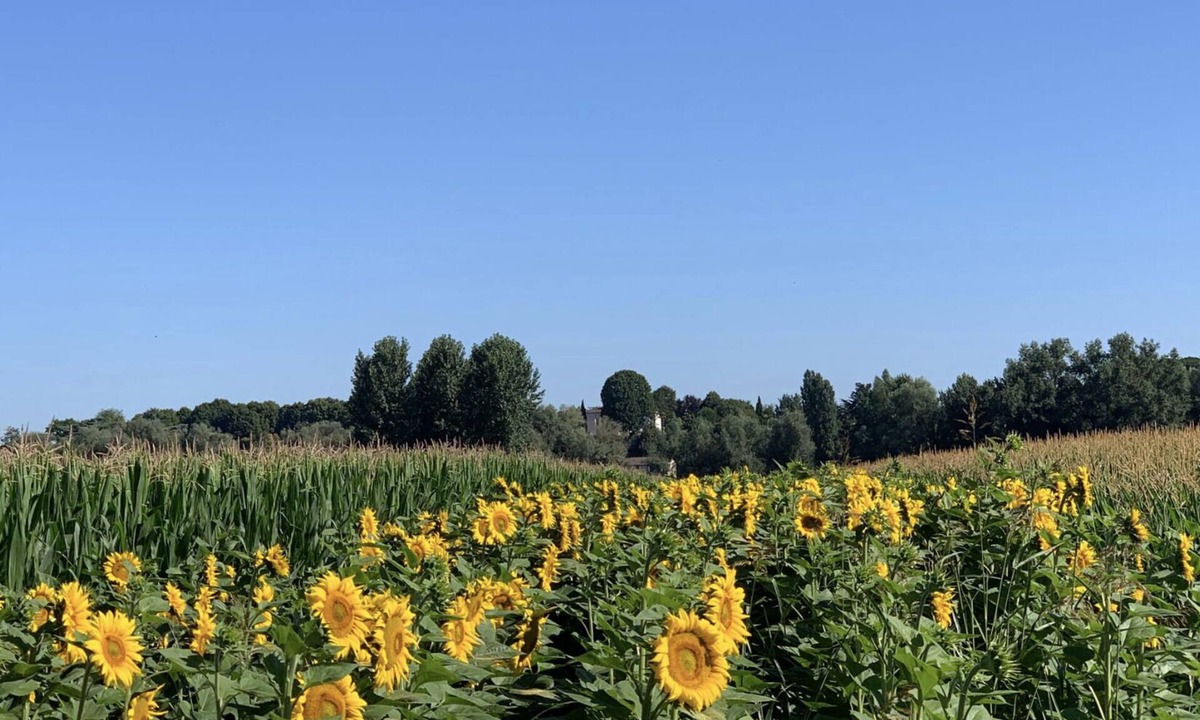 Barie House | Happiness in the countryside!