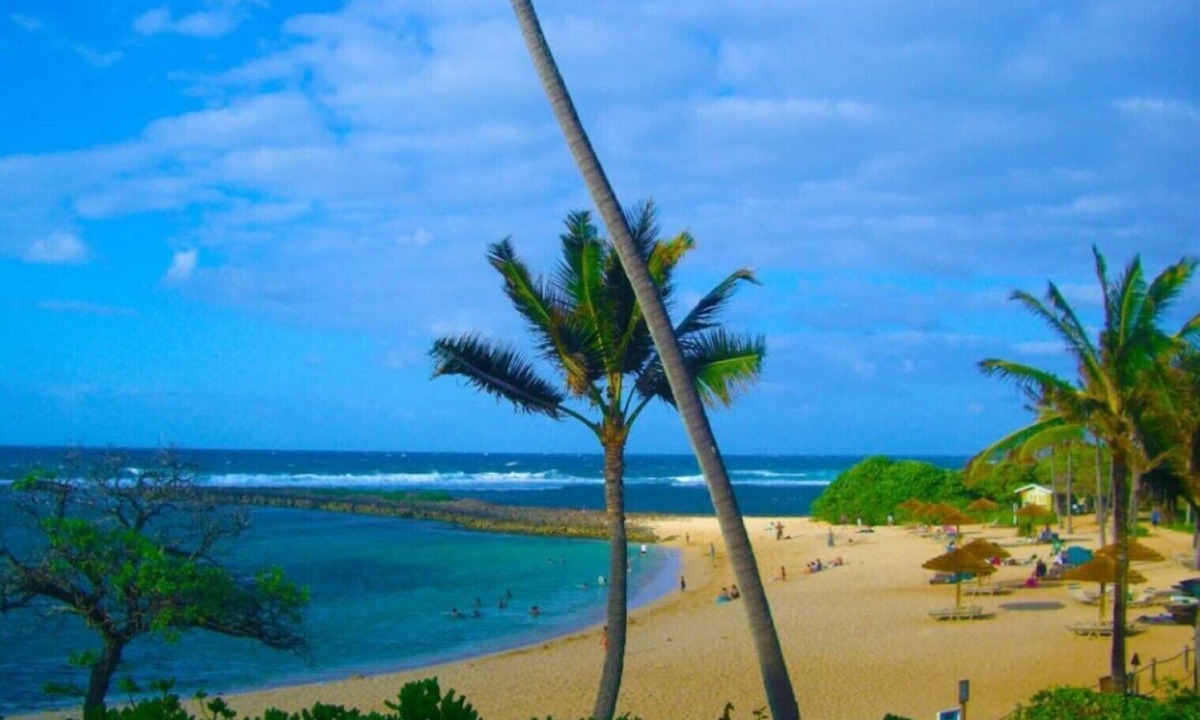 Kahuku Condo | Iconic Turtle Bay- Full Kitchen, 2 Full Baths - Rated 9.6 of 10 - Walk to Beach!