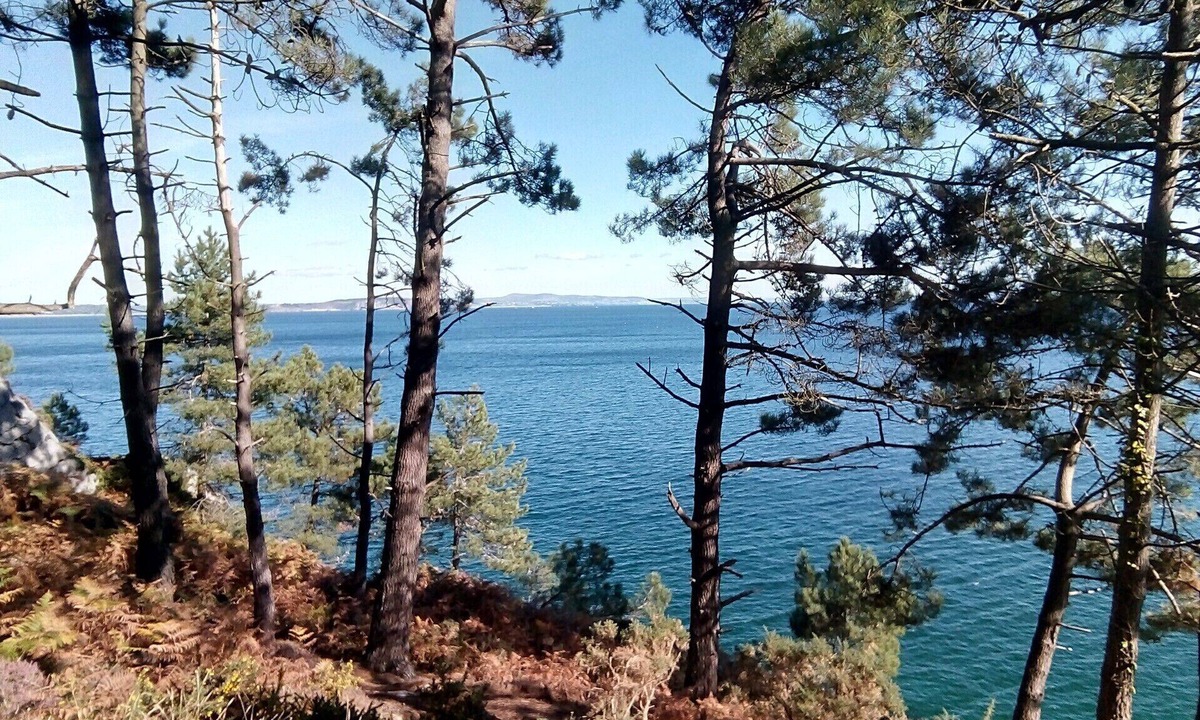 Saint-Nic House | Large and bright comfort villa with Jacuzzi at 800 m from the beach of Pentrez