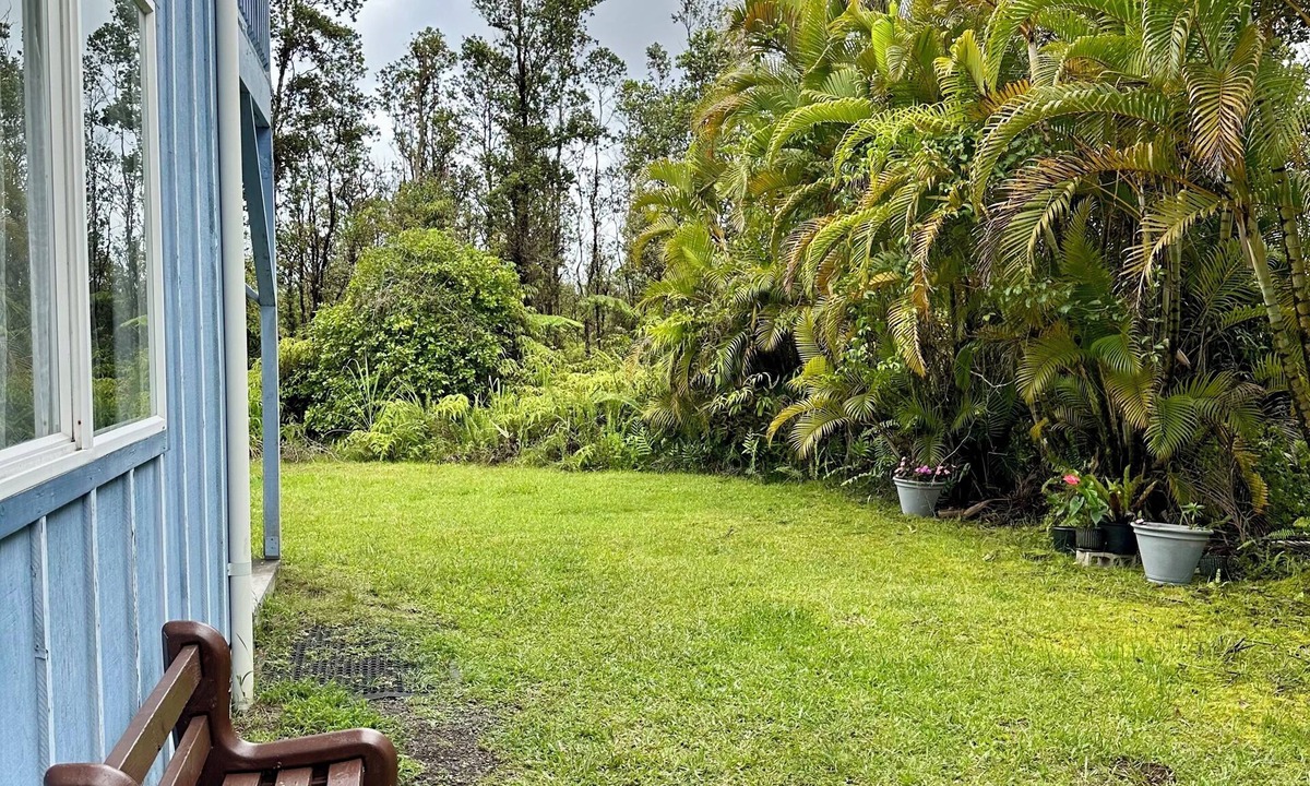Fern Acres Apartment | Large downstairs apartment in temperate forest