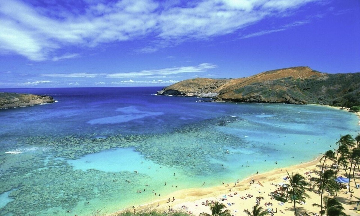 Portlock House | October and November 2024nOceanview 3 bedroom/2 bathroom Homen10,000/month