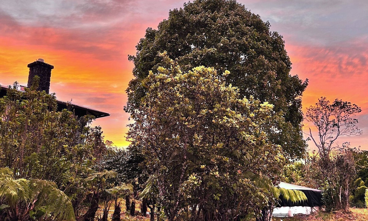 Volcano House | Pali’uli Estate has an old Hawaiian country feel in a tropical rain forest.