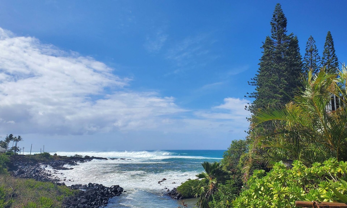 Poipu Cottage | Poipu Beach Kauai Honeymoon: View Sea Turtles From Your Oceanfront Deck-AC