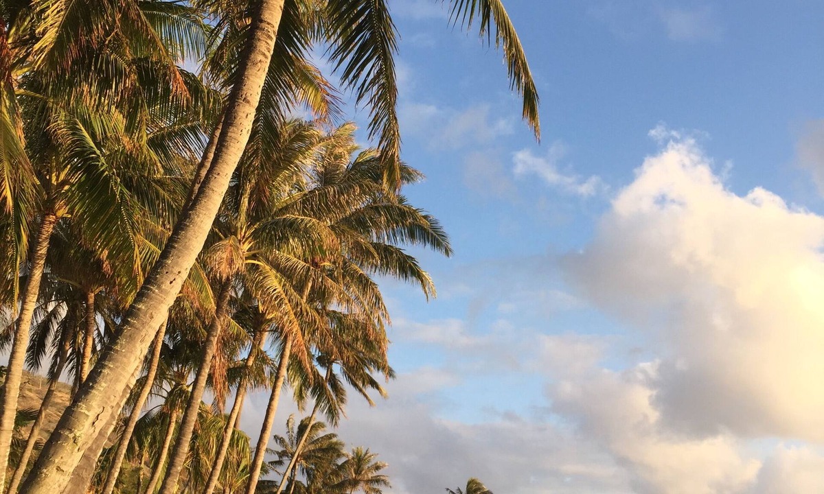 Portlock House | Private vacation home in Honolulu
