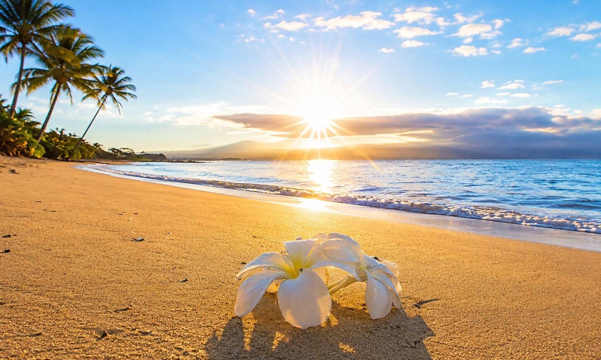 Maalaea Condo | Summer Specials-Luxury Ocean Front Condo Free Wi-Fi. Legal Rental