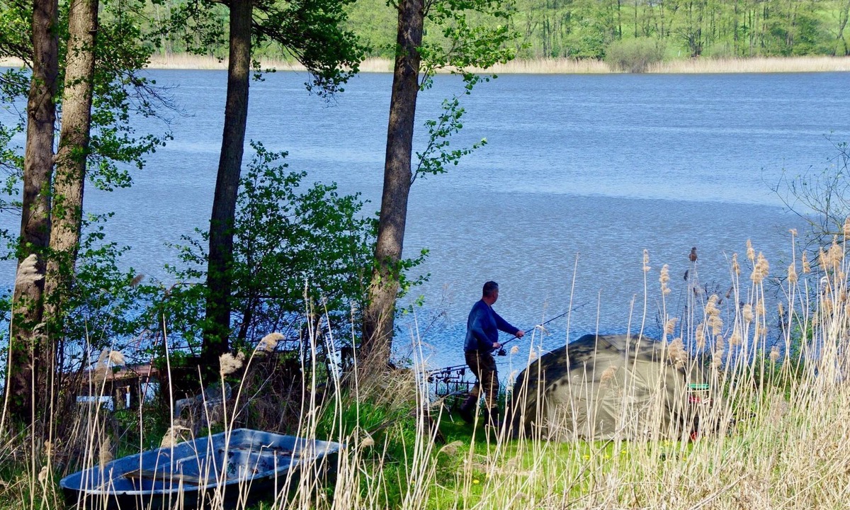 Ulrichshusen Apartment | Vacation apartment fishing and swimming