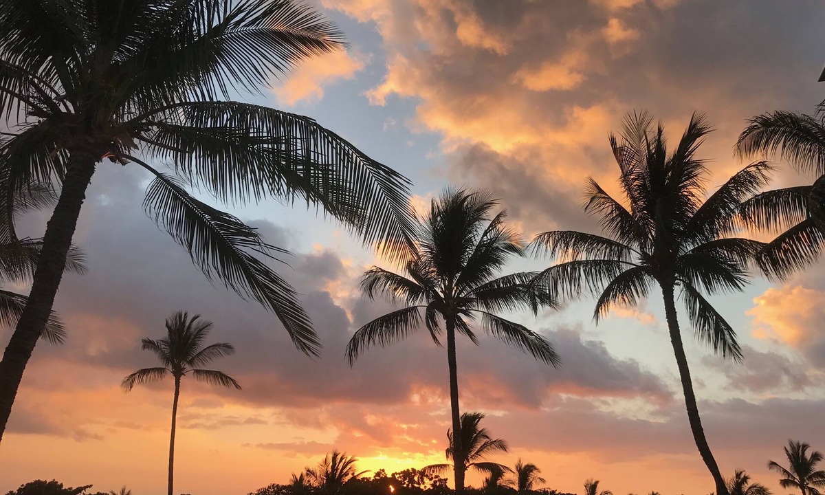 Waikoloa Condo | Vista A201 · Ocean-View, steps to beach & pool