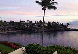 Ocean Front Napili Point C20 Amazing View A/C Freshly Remodeled for 2025!