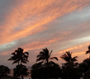 Maui Parkshore 