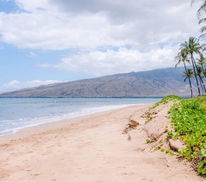 Sugar Beach Resort Kihei 