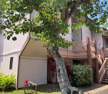 Nawiliwili Apartment | Banyan Harbor Lihue Paradise across kalapaki beach