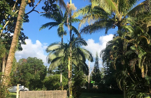 Keaau House | Beautiful 2 Bedroom, 1 bath, full kitchen, secluded acre of gardens