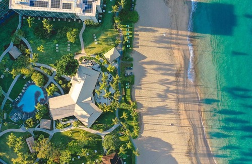 Kaanapali Hotel | Breathtaking Oceanfront Views! 4 Units, Minutes to Pacific Whale Foundation