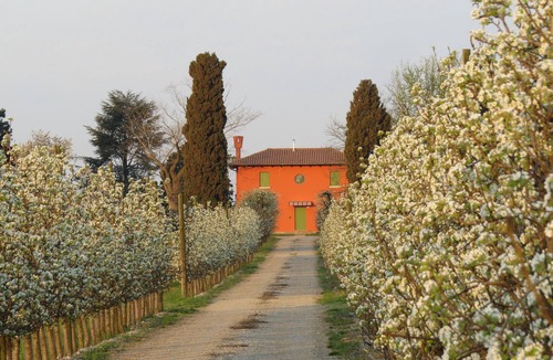 Terzo d'Aquileia House | CENTURIA THE COMPANY 'FARM HOUSE HOLIDAYS, BETWEEN ART AND NATURE RELAX