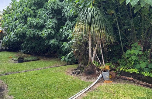 Hilo House | Charming 3-bedroom home in Hilo town
