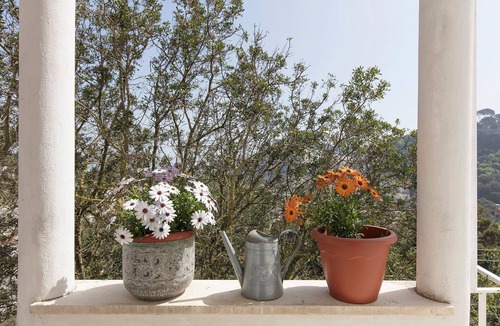 Marina Piccola House | Charming, quiet house with magnificent views of the sea and capri from above