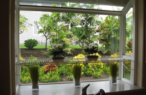 Kailua-Kona House | Excellent Long Term Rental (6 MONTH MIN.)5 min. to Kona. Immaculate property.