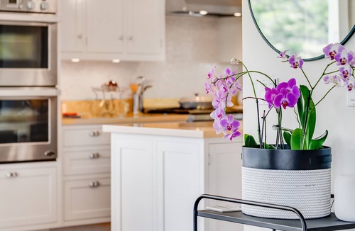 Pauwela House | Featured on Staycation TV Stunning Modern Home Surrounded by Nature