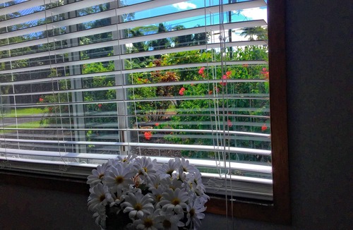 Kapoho Apartment | Hale "Hā Hā" Apartment - 3 blocks from ocean cliffs