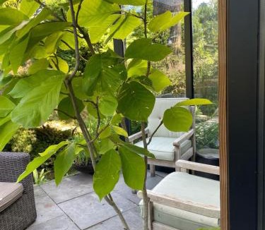 Ochten Apartment | In Eldik