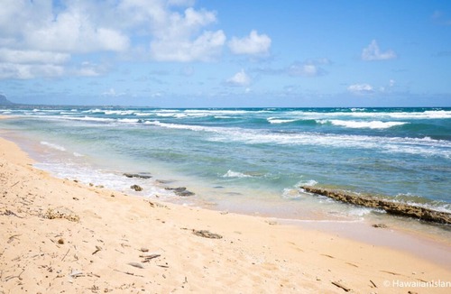 Hanamaulu House | Island Escape! 4 Great Units, Swimming Pool, Close to Nukolii Beach Park