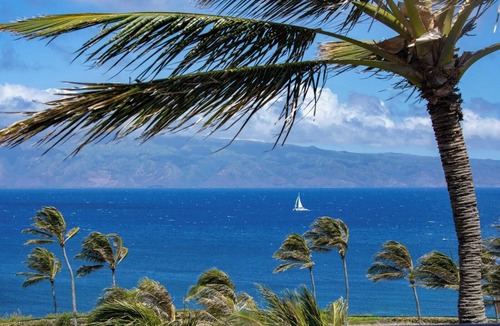 Montage Kapalua Bay Condo | Kapalua Bay Resort | Ocean View 6 BR | Car Incl. w/6+ Nights | MON ML-3815 by KBM