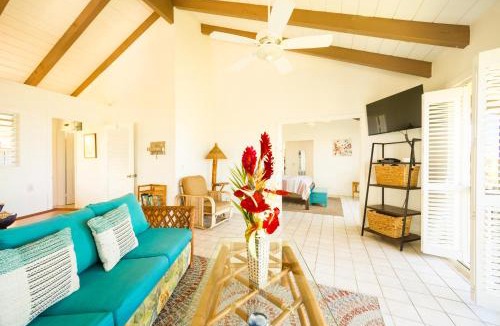 Kahaluu Bay Apartment | King Palm Ocean views King bed walk to beach Free WIFI parking BBQ