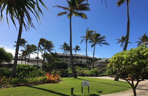 Bayview Condo | Lovely resort on the Garden Island Paradise of Kauai (Xmas week 2023 available!)