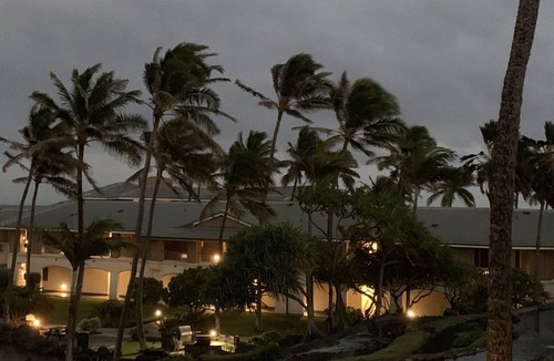 Bayview Condo | Lovely resort on the Garden Island Paradise of Kauai (Xmas week 2023 available!)