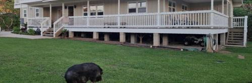 Makaha House | Mākaha House