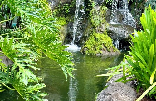 Hanamaulu Apartment | Magnificent Beachfront Outrigger Kauai Beach Resort & Spa. Welcome to Paradise!