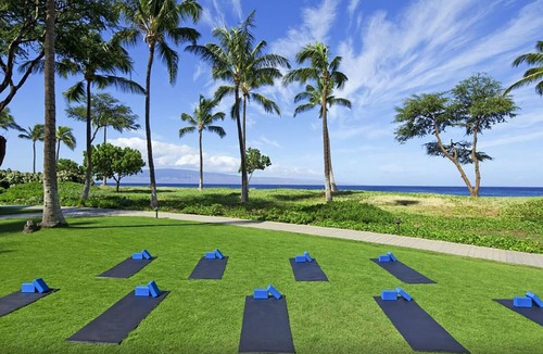 Kaanapali Resort | Ocean View - 1 Bedroom - Westin Kaanapali Ocean Resort Villas North - Full Resort Access
