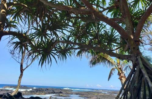 Keaukaha Apartment | Ocean View Balcony 2BR Near Beach & Downtown
