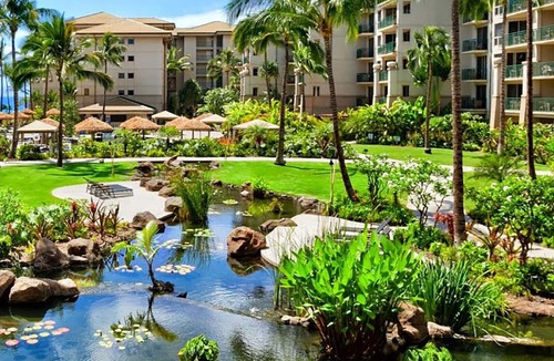 Kaanapali Resort | Oceanfront - 1 Bedroom - Westin Kaanapali Ocean Resort Villas North - Full Resort Access