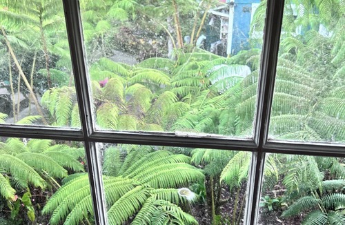 Volcano House | Pali’uli Estate has an old Hawaiian country feel in a tropical rain forest.