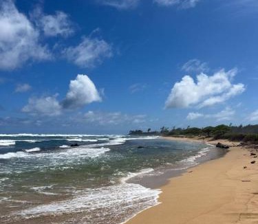 Hanamaulu Apartment | Pristine Hotel Room at Popular Resort