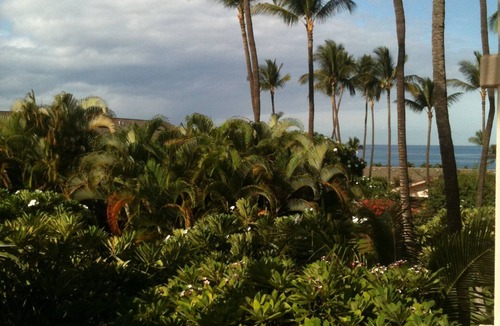 Kihei Condo | Superior 1 Bed Bright decor Part ocean view King Bed No risk of zoning change