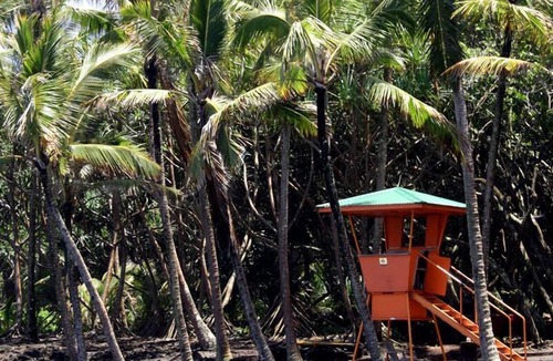 Kapoho Cabin | Sustainable Off-Grid Rental on a Farm on the Big Island of Hawaii