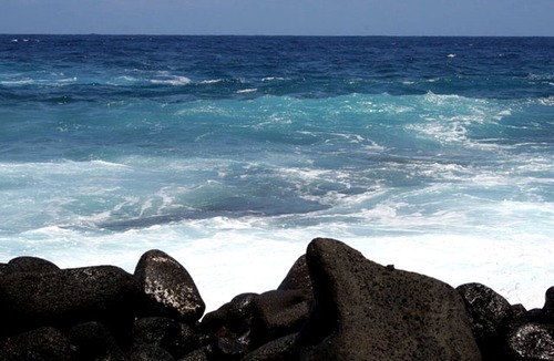 Kapoho Cabin | Sustainable Off-Grid Rental on a Farm on the Big Island of Hawaii
