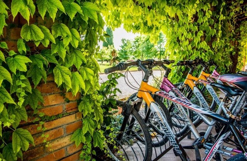 Palazzolo dello Stella Apartment | Tenuta Regina Wohnung Folaghe Trilocale für 6 Personen