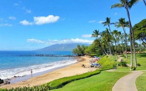 Montage Kapalua Bay Apartment | The Resort at Kapalua Bay Ocean View Villas KBM Resorts 2 Units 6 Bedrooms MON ML-3818