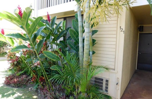 Kahuku Condo | Turtle Bay Guava: 1 BR, 1 BA Condominium in Kahuku, Sleeps 3