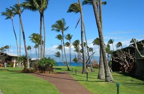 Napili Condo | Vacation in a Tropical Paradise Napili Shores - C121 Studio