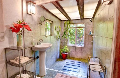 Volcano House | Volcano Artist Cottage