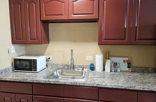 Keaukaha Apartment | Walk to Beach Garden Balcony + Workspace