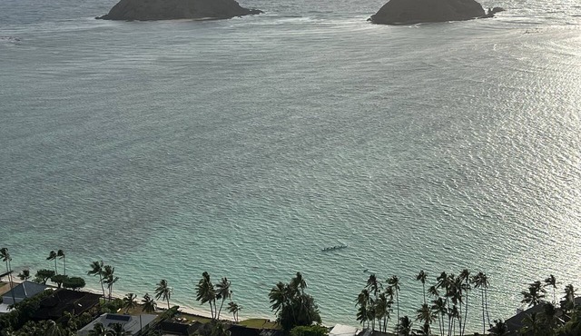 1 bedroom steps to white sand beach
